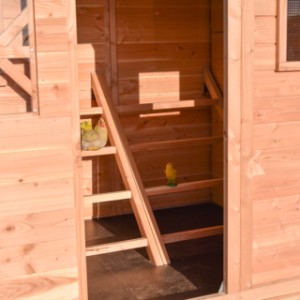 Dans le poulailler, il y a 2 échelles de perchoirs avec 4 perchoirs par échelle