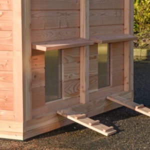 À l’extérieur, près des trappes de sortie, se trouvent 2 rampes pour que les poules puissent facilement entrer et sortir.