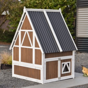 Jetez un coup d’œil à l’arrière du poulailler Pip