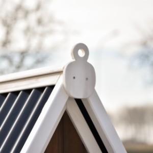 Admirez le joli ornement décoratif du poulailler Pip