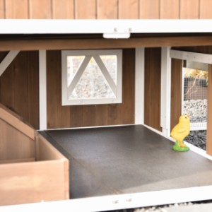 Le poussin regarde un instant à l’extérieur par la trappe de sortie