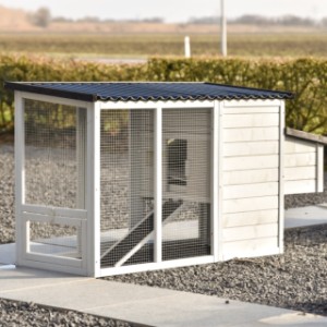 Jetez un œil à l’arrière du clapier Noah