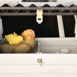 Le pondoir de Noah est divisé en 2 parties