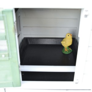 Dans l’abri de nuit de Noah se trouve un perchoir amovible