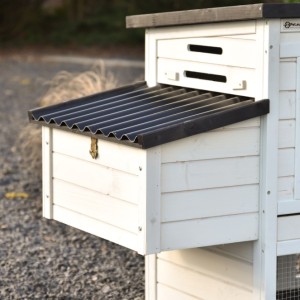 Voici le pondoir de Noah