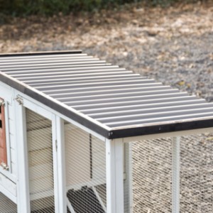 Le toit de Noah est fabriqué en plastique