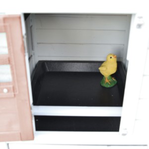 Dans l’abri de nuit de Noah se trouve un perchoir amovible