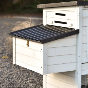 Voici le pondoir de Noah