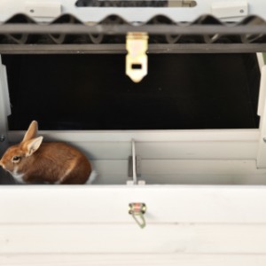 Le pondoir sur le côté de Noah offre un abri de nuit plus spacieux