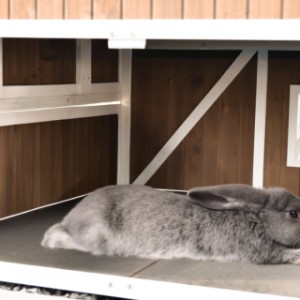 Espace de couchage spacieux, adapté par exemple aux Géants des Flandres