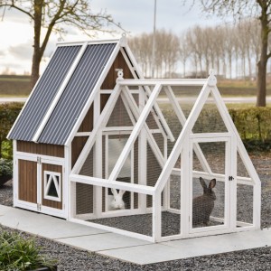 Clapier Pip avec enclos 130x249x180cm