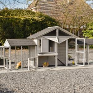 Poulailler Holiday Medium Double | avec plusieurs portes