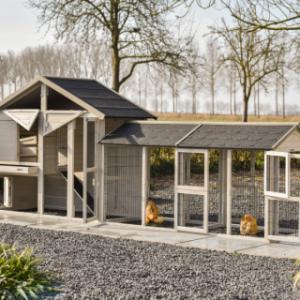 Le poulailler Holiday Medium a plusieurs ouvertures