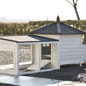 Jetez un coup d’œil à l’arrière de Ambiance Small