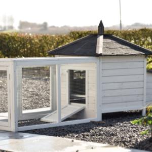 Jetez un coup d’œil à l’arrière de Ambiance Small