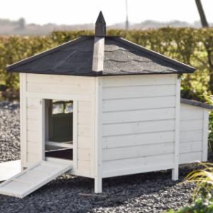 Jetez un coup d’œil à l’arrière de Ambiance Small