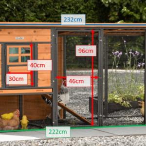 Tailles différentes du poulailler Judy