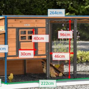 Tailles différentes du poulailler Judy