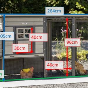 Tailles différentes du poulailler Judy
