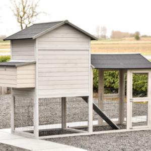 Jetez un coup d’œil à l’arrière du Prestige Large