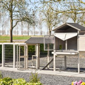 Poulailler Prestige Large | avec plusieurs portes