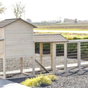 Jetez un coup d’œil à l’arrière du Prestige Large