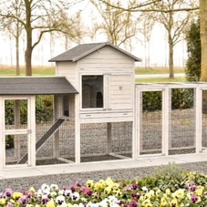 L’enclos d’extension Functional peut être relié de différentes manières au poulailler Prestige Large et à l’enclos d’extension Space Large