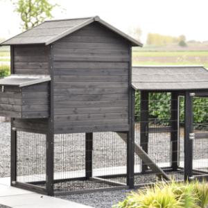 Jetez un coup d’œil à l’arrière du Prestige Large