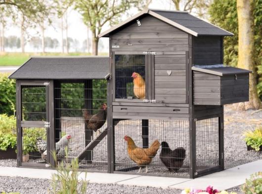 Grand clapier pour lapin Prestige Large avec enclos et pondoir 265x100x181cm