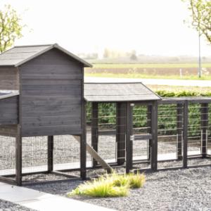 Jetez un coup d’œil à l’arrière du Prestige Large