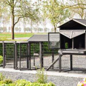 Poulailler Prestige Large | avec plusieurs portes