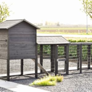 Jetez un œil à l’arrière du Prestige Large