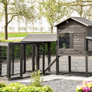 Prestige Large avec 2 enclos d’extension et pondoir peut être installé de différentes manières