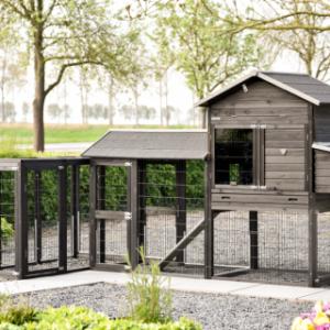 Prestige Large avec 2 enclos d’extension et pondoir peut être installé de différentes manières