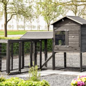 L’enclos d’extension Functional peut être relié de différentes manières au poulailler Prestige Large et à l’enclos d’extension Space Large