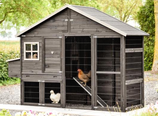 Poulailler Holiday Large Black avec pondoir 267x96x195cm