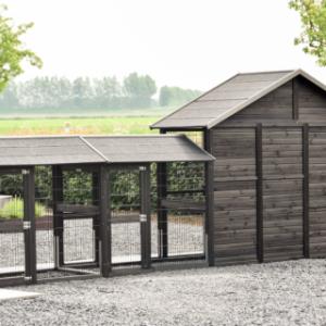 Le poulailler Holiday Large a un arriére en bois