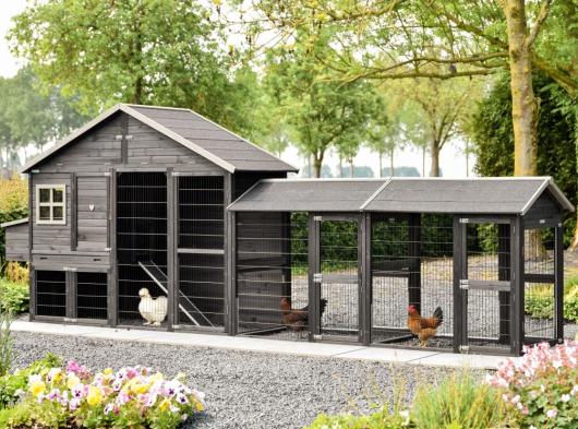 Poulailler Holiday Large Black avec 2 enclos et pondoir 515x100x195cm