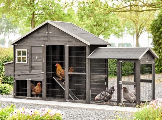 Poulailler Holiday Large avec enclos et pondoir 388x93x195cm