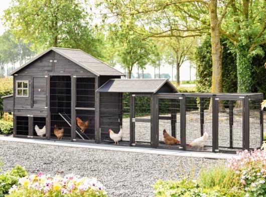 Poulailler Holiday Large Duo Black avec pondoir et enclos d’extension 564x100x195cm