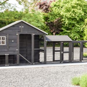 Poulailler Holiday Large Duo Black avec pondoir et enclos d’extension