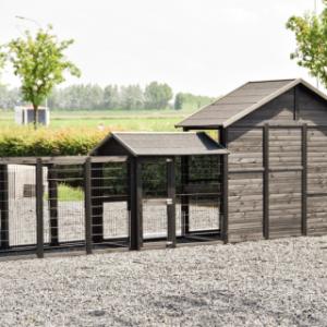 Le poulailler Holiday Large a un arriére en bois