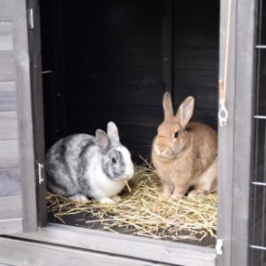 Dans l’abri de nuit verrouillable du clapier Holiday Large, les lapins peuvent se reposer en toute tranquillité