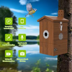 Différents avantages du nichoir à oiseaux avec caméra
