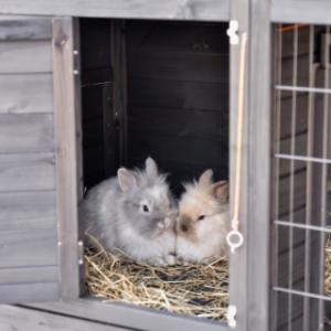 La nichoir du clapier pour lapin Holiday Medium est approprié pour 2 à 4 lapins