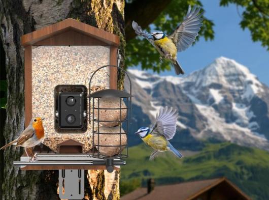 Mangeoire à oiseaux Sanilu avec caméra et panneau solaire