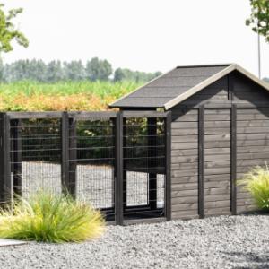 Poulailler Holiday Medium Black avec pondoir et enclos Functional | arrière
