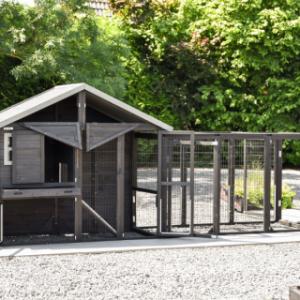 Poulailler Holiday Medium Black avec pondoir et enclos Functional | poulailler avec grand enclos