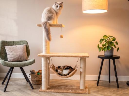 Arbre à chat Krusty 75x40x96cm