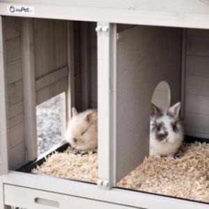 Clapier pour lapin Prestige Small | Le compartiment de nuit convient pour 2 lapins de taille moyenne